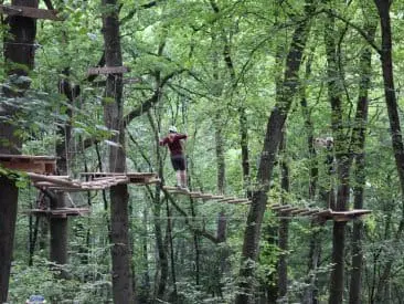 climbing forest durbuy (1)